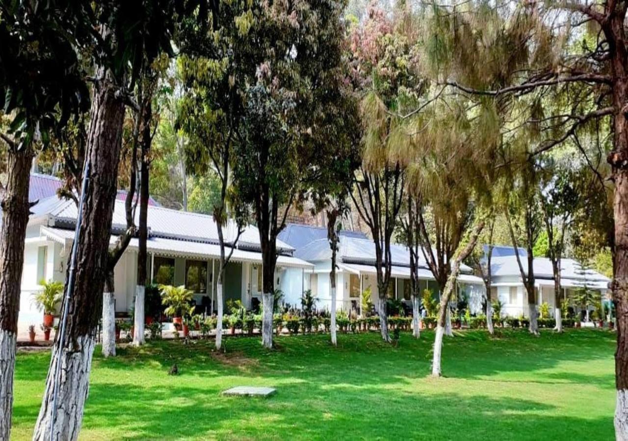 Greendale Resort Pachmarhī Zewnętrze zdjęcie